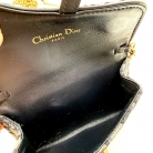 Mini Saddle Dior