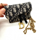 Mini Saddle Dior
