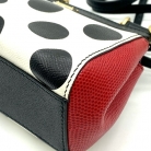 Mini Sicily Dolce&Gabbana edition ladybug