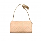Miss Dior Promenade Pouch