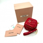 Miu Miu charm bag