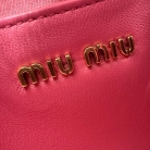 Miu Miu Wander