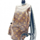 mochila Louis Vuitton Palm Springs Monogram