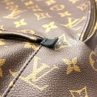 mochila Louis Vuitton Palm Springs Monogram