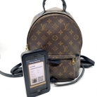 Louis Vuitton Palm Springs PM backpack