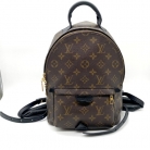 Louis Vuitton Palm Springs PM backpack