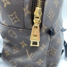 Louis Vuitton Palm Springs PM backpack