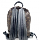Louis Vuitton Palm Springs PM backpack