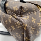 Louis Vuitton Palm Springs PM backpack