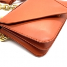 Mount Bottega Veneta