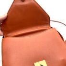Mount Bottega Veneta