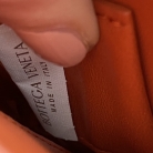 Mount Bottega Veneta