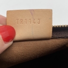 Nano speedy vuitton with strap