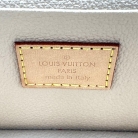 Louis Vuitton Toiletry Bag