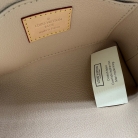 Louis Vuitton Toiletry Pouch