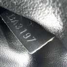 Louis Vuitton Monogram Toiletry Bag