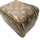 Louis Vuitton Vanity case