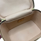 Louis Vuitton Vanity case