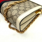 Ophidia chain
