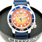 Orologio automatico Citizen Promaster Aqualand.