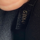 Pallas Louis Vuitton