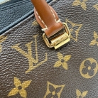 Pallas Louis Vuitton