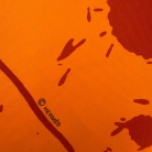 Hermès Cheval Surprise scarf