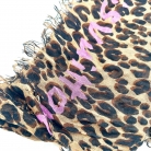 sciarpa Louis Vuitton