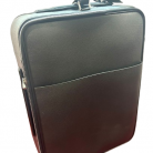pegase louis vuitton