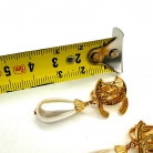 Pendientes Chane