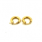 Pendientes de Aro
