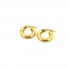 Pendientes de Aro