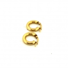 Pendientes de Aro