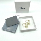 dior earrings