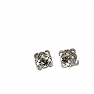 Loewe earrings