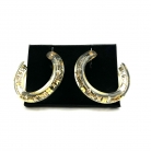 Louis Vuitton earrings