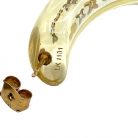 Louis Vuitton earrings