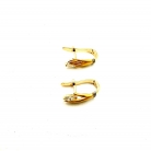 Orecchini d'oro