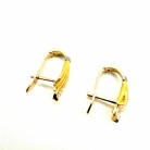 Orecchini d'oro