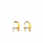 Orecchini d'oro
