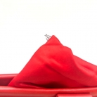 Miu miu red pochette