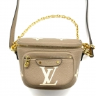 Louis Vuitton belt bag
