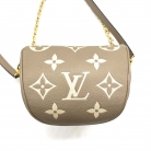 Louis Vuitton belt bag