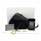 Saddle de Dior