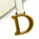saddle dior