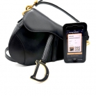 Saddle Dior