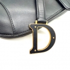 Saddle Dior