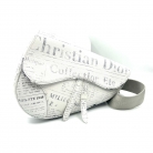 saddle dior newspaper