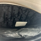 saddle dior newspaper