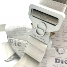 saddle dior newspaper